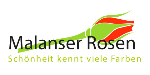 Malanser Rosen