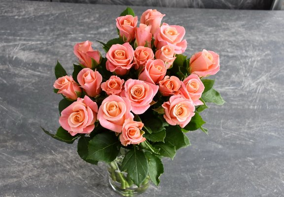 Rosen rose Rosen rose