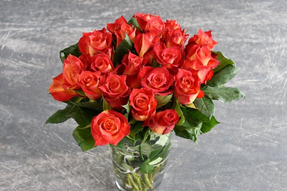Rosen rot-orange Rosen rot-orange