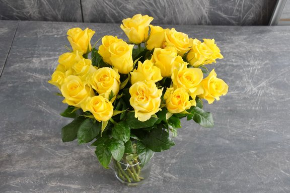 Rosen gelb Rosen gelb