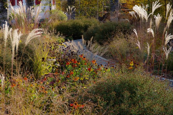 Pflegekonzept für den Garten