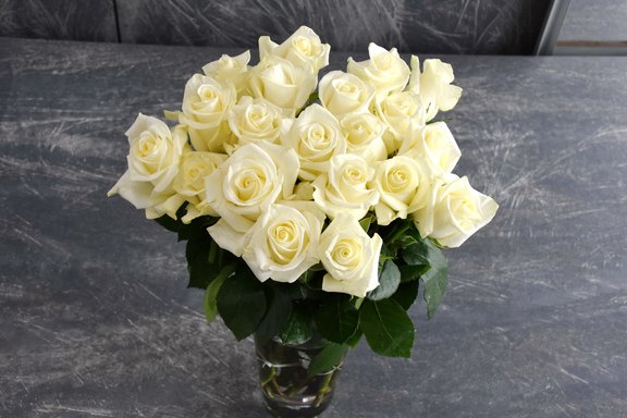 Rosen weiss Rosen weiss