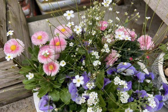Frühlingsflorgefäss