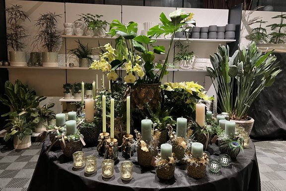 Botansiche Adventsfloristik