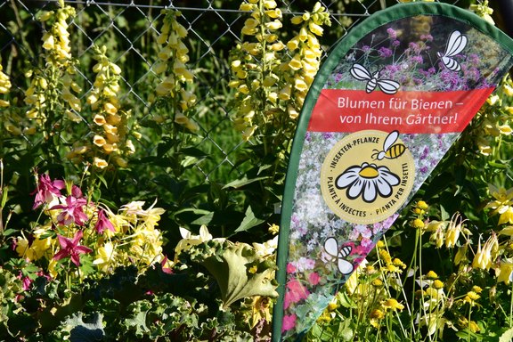 Genusspflanzen, Zierpflanzen, Innenpflanzen, Gartenzubehör, Blumen und Geschenke, Genusspflanzen, Zierpflanzen, Innenpflanzen, Gartenzubehör, Blumen und Geschenke,