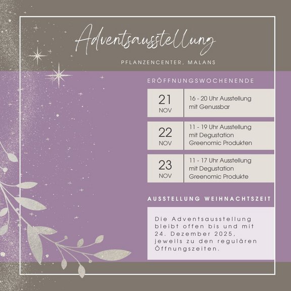 Programm Adventsausstellung