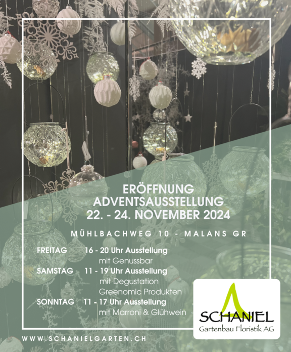 Programm Adventsausstellung
