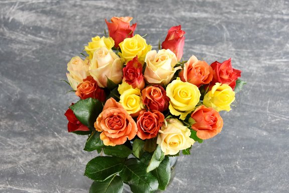 Rosen gemischt creme-gelb-orange Rosen gemischt creme-gelb-orange