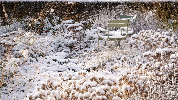Der Garten im Winter