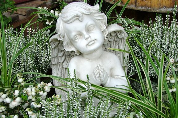 Pflanzen für Friedhof