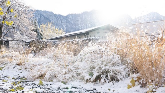 Momentaufnahme Winter im Garten