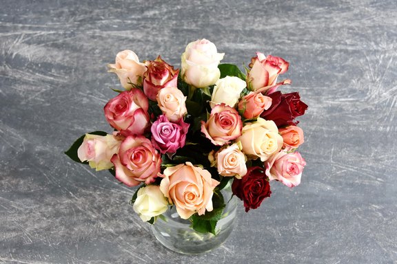 Rosen gemischt rot-rosa-weiss Rosen gemischt rot-rosa-weiss