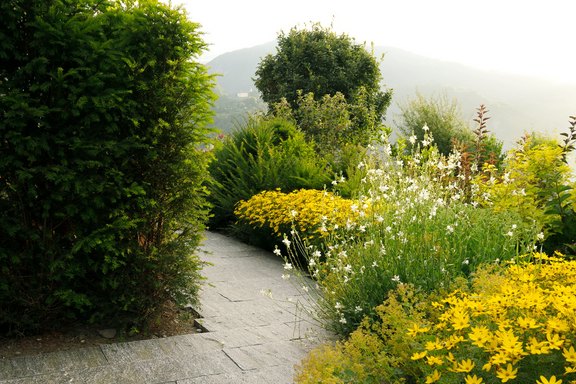 Gartenbau, Planung, Pflege und Bepflanzung