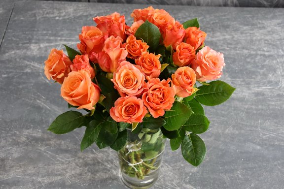 Rosen orange Rosen orange