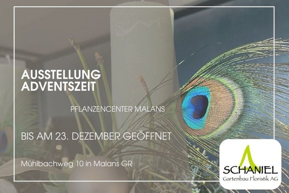 Adventszeit  
